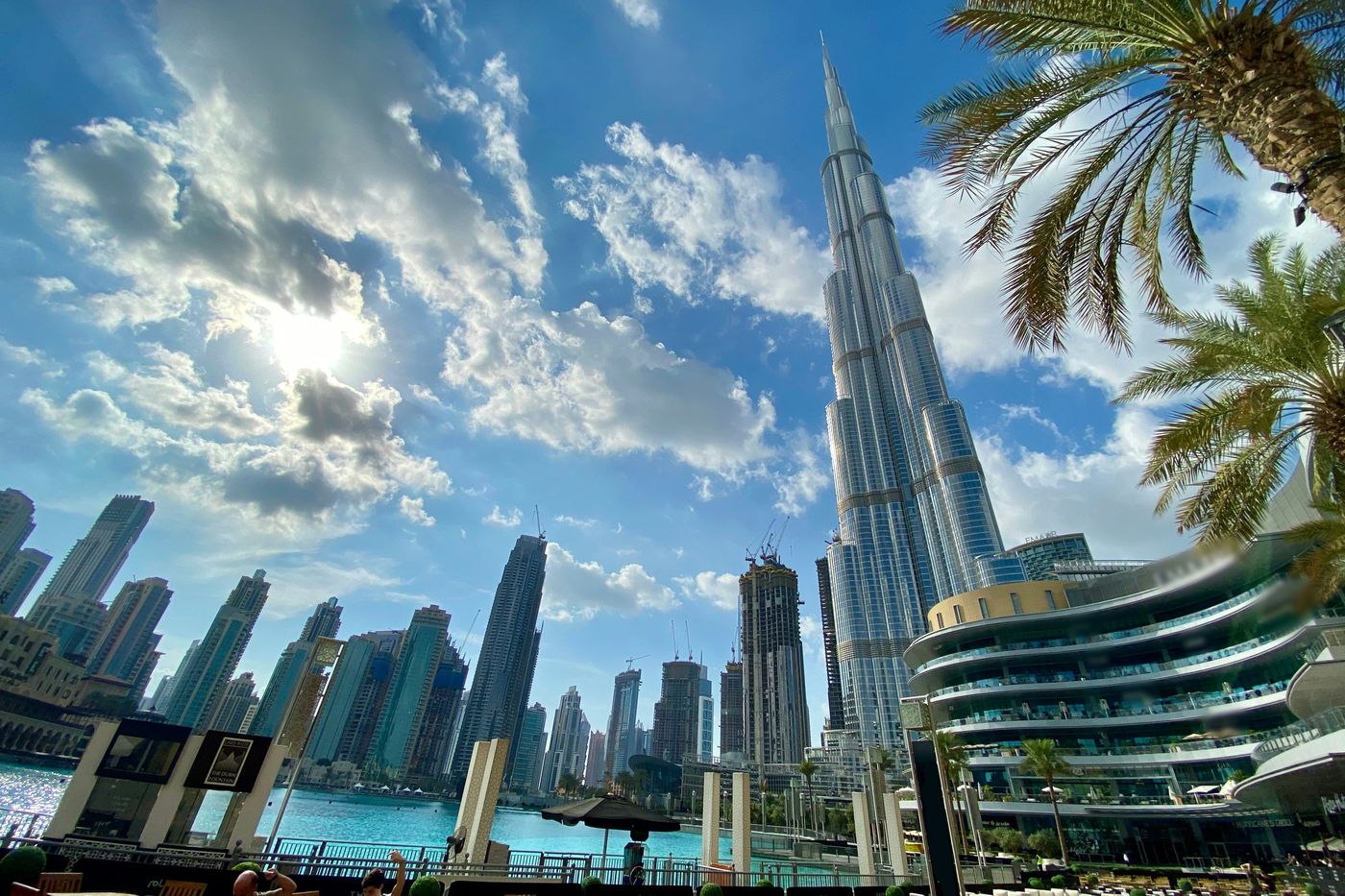 Dubai skyline and palms